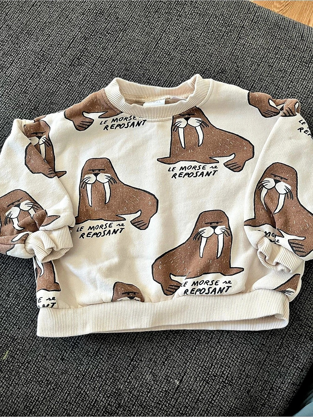 ZARA Le Morse Reposant Walrus Print Sweatshirt Cream & Brown, Size 4 Years